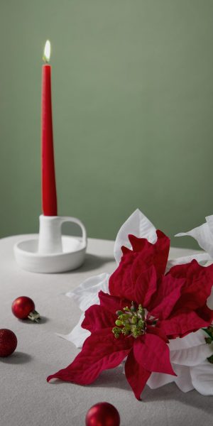 beautiful-red-white-poinsettia-assortment